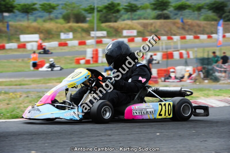 DSC_3768.jpg