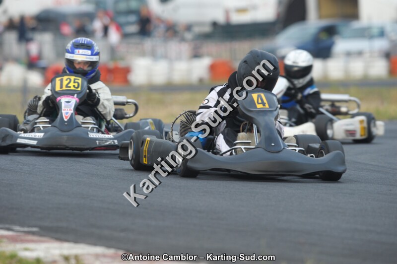 DSC_3990.jpg