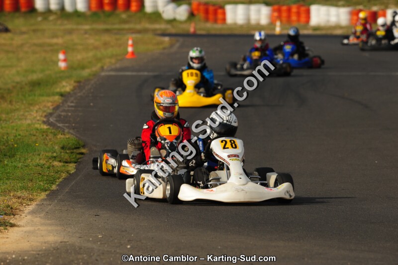 DSC_4437.jpg