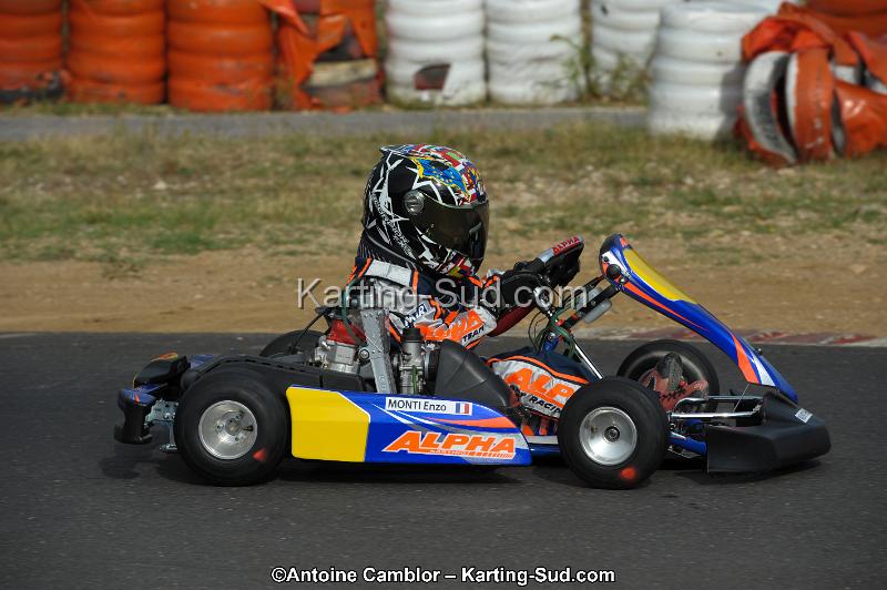 DSC_3384.jpg