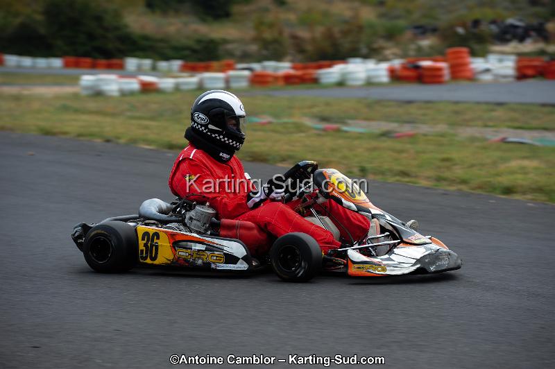 DSC_3684.jpg