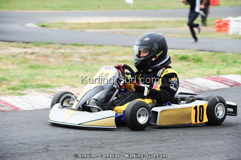 DSC_3781.jpg