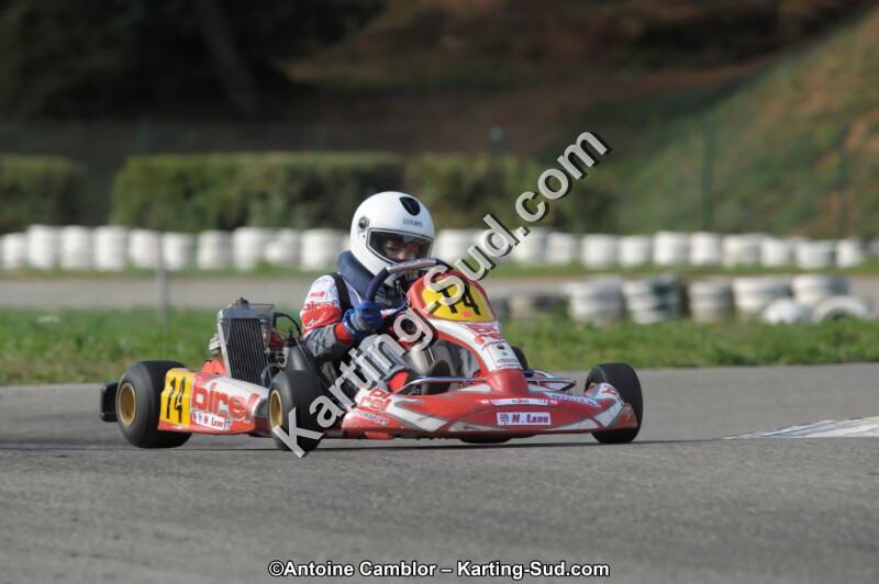 DSC_8254_DxO.jpg