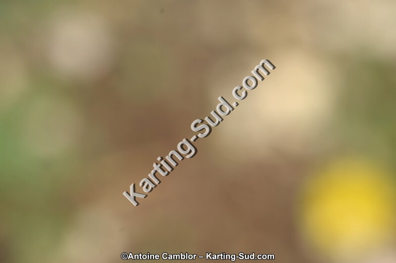 DSC_8768_DxO.jpg