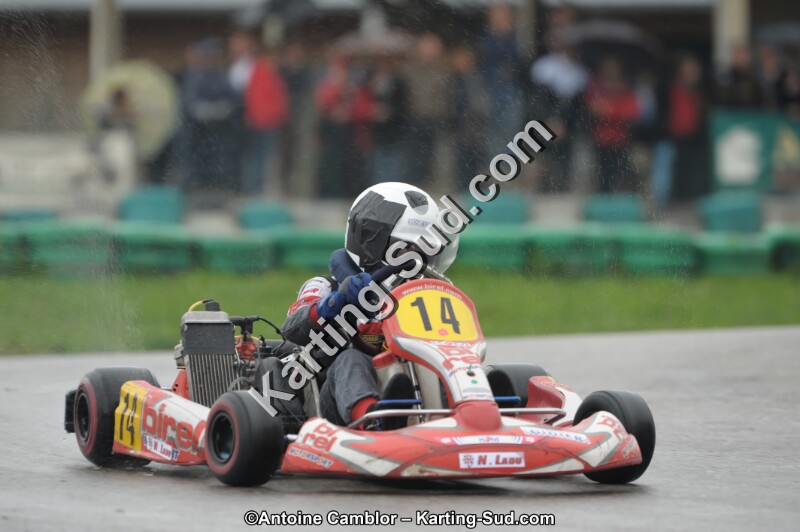 DSC_9993_DxO.jpg