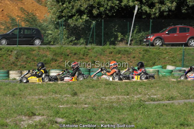DSC_8517_DxO.jpg