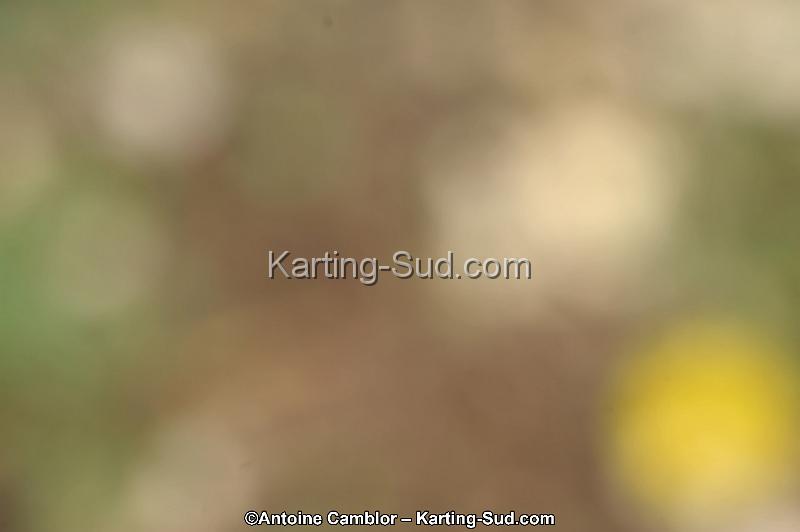 DSC_8768_DxO.jpg