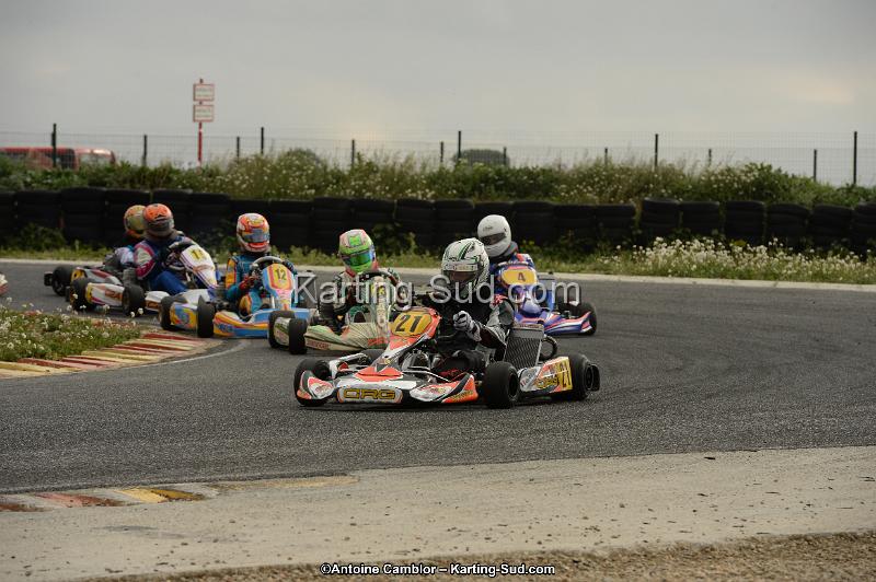 DSC_5525.jpg