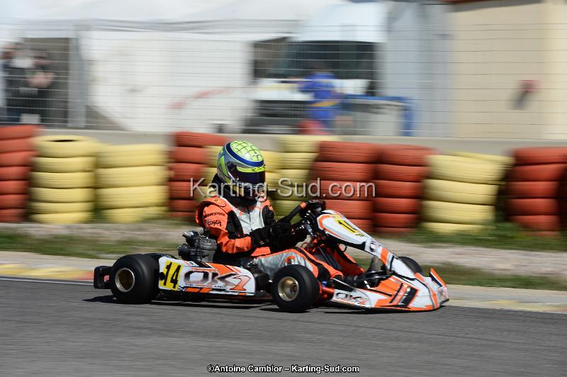 DSC_6286.jpg