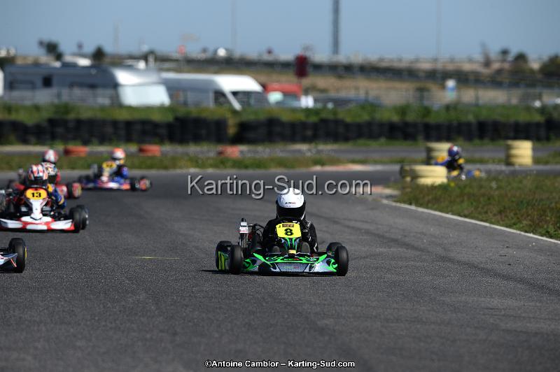 DSC_7296.jpg
