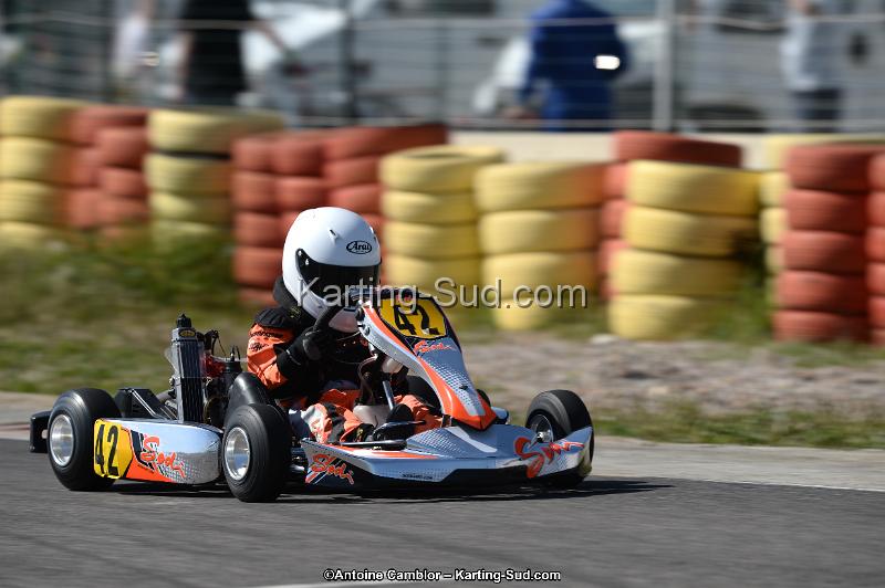 DSC_7333.jpg
