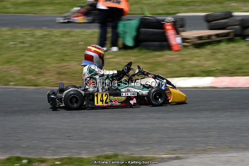 DSC_2910.jpg
