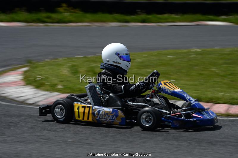 DSC_2913.jpg