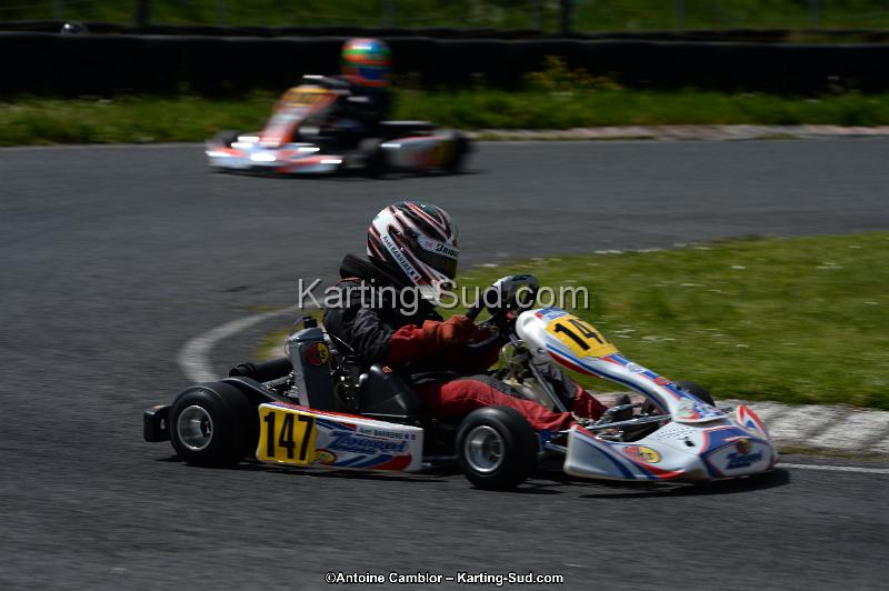 DSC_2915.jpg