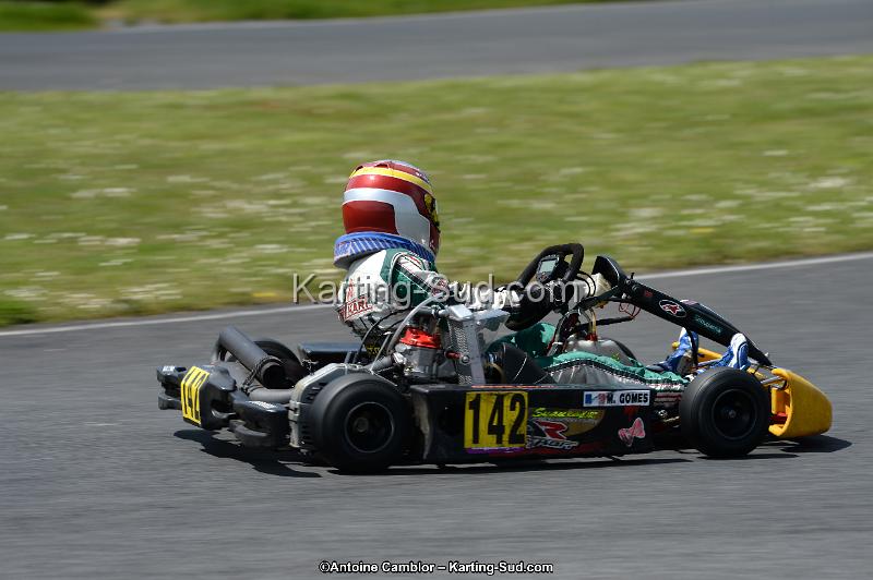 DSC_2931.jpg