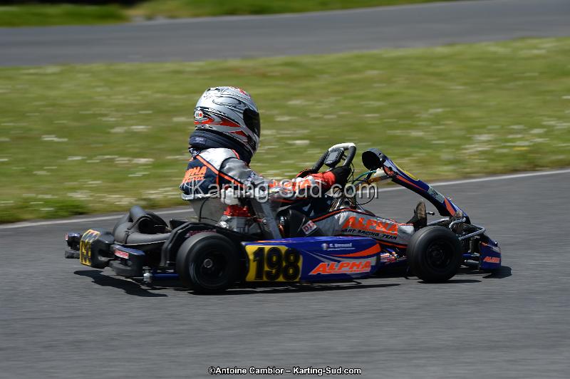 DSC_2932.jpg
