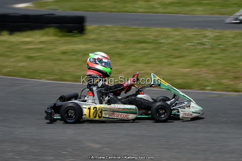 DSC_2934.jpg