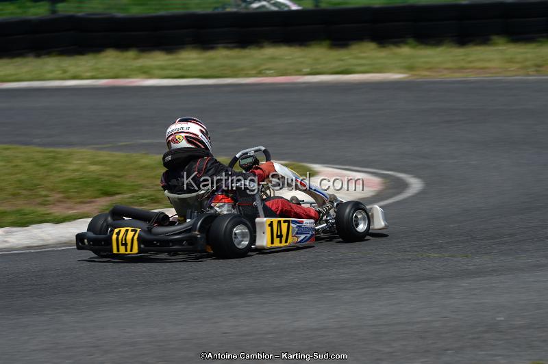 DSC_2937.jpg