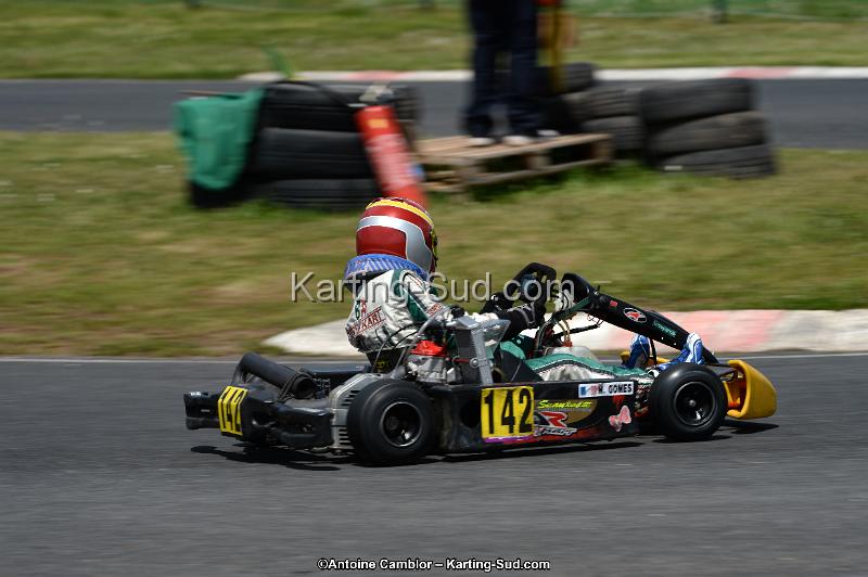DSC_2938.jpg