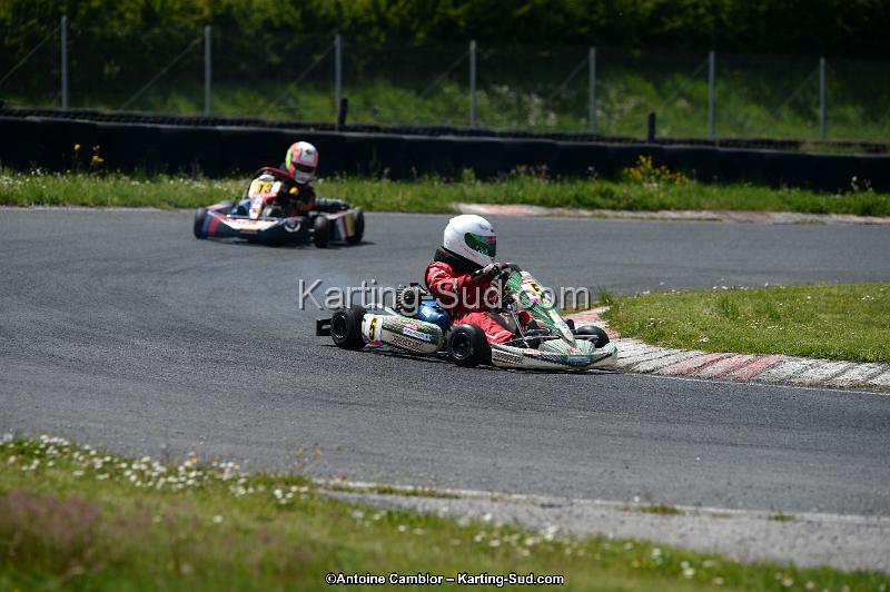 DSC_2986.jpg