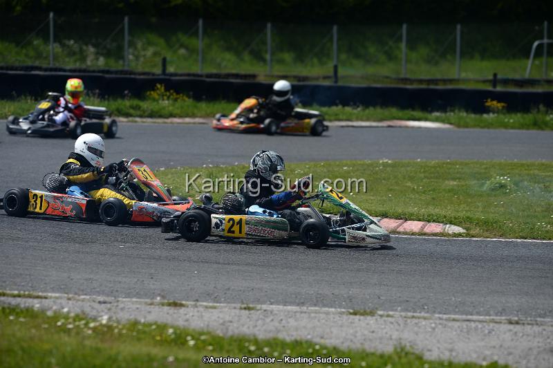 DSC_2989.jpg
