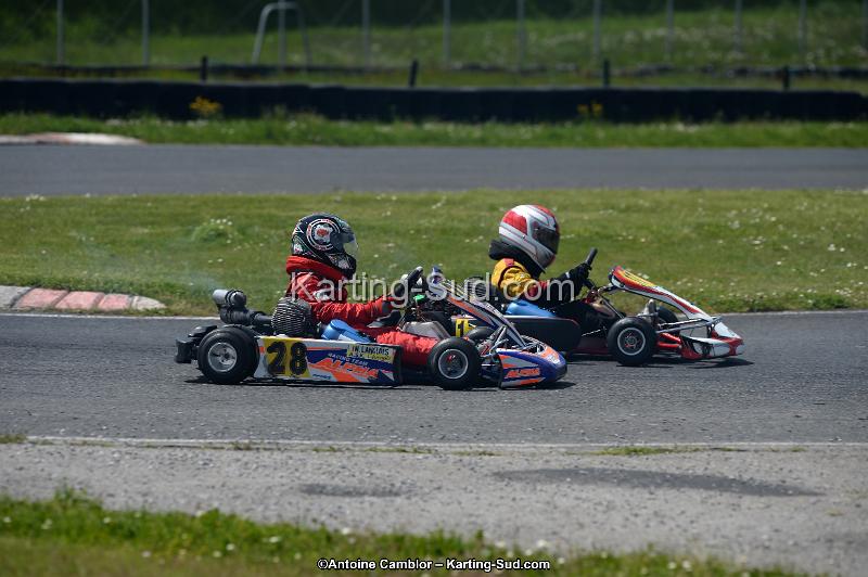 DSC_2991.jpg