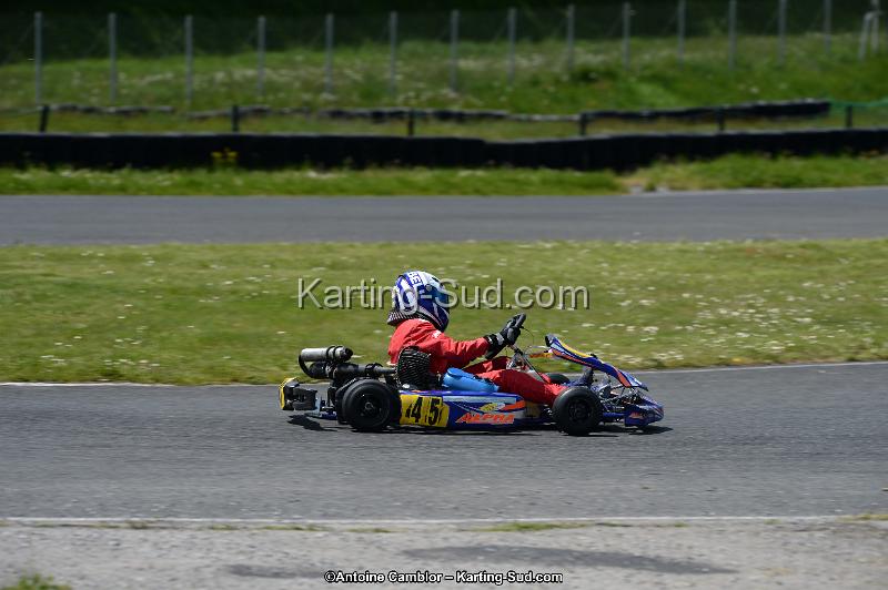 DSC_2997.jpg