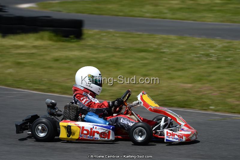 DSC_3022.jpg