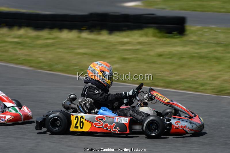 DSC_3026.jpg