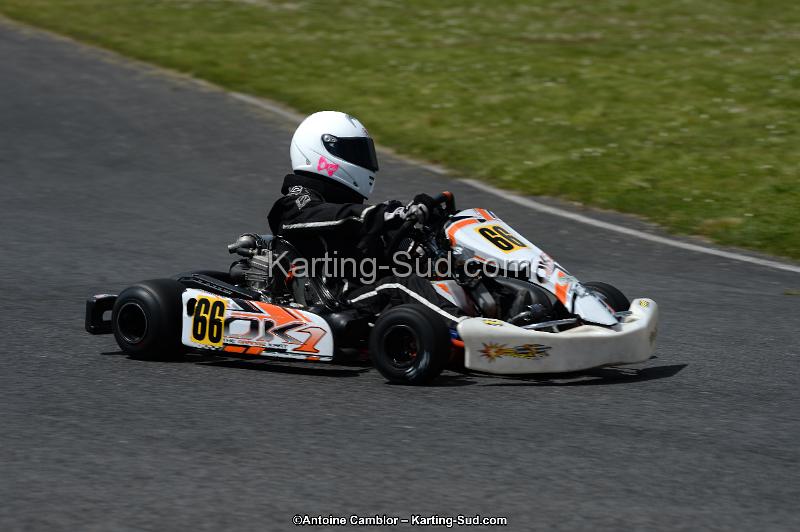 DSC_3193.jpg