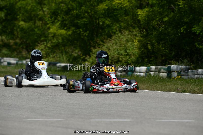 DSC_5295.jpg