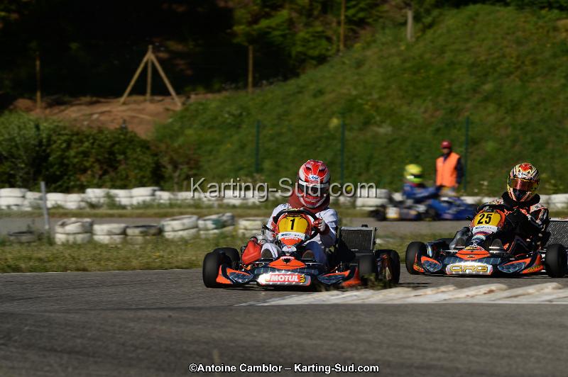 DSC_6950-2.jpg