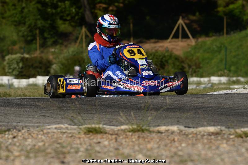 DSC_7006-2.jpg