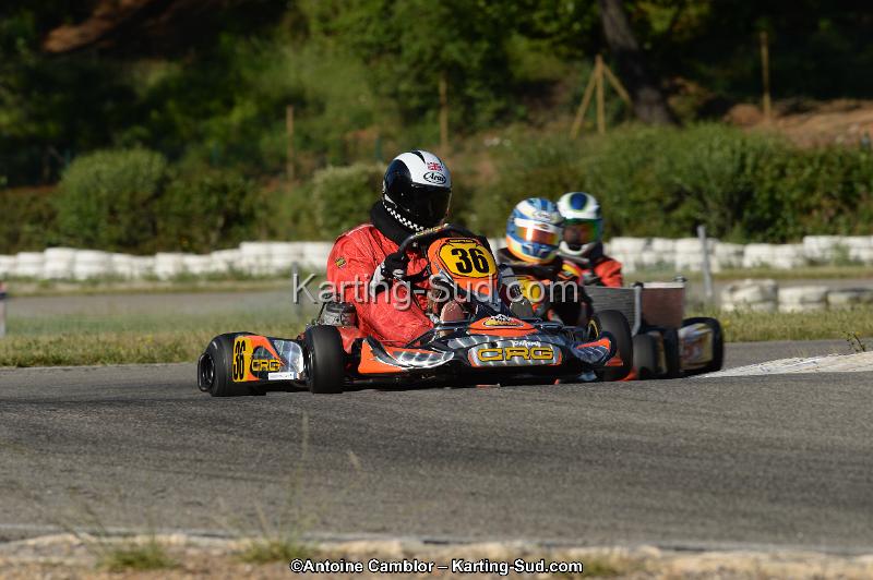 DSC_7025-2.jpg