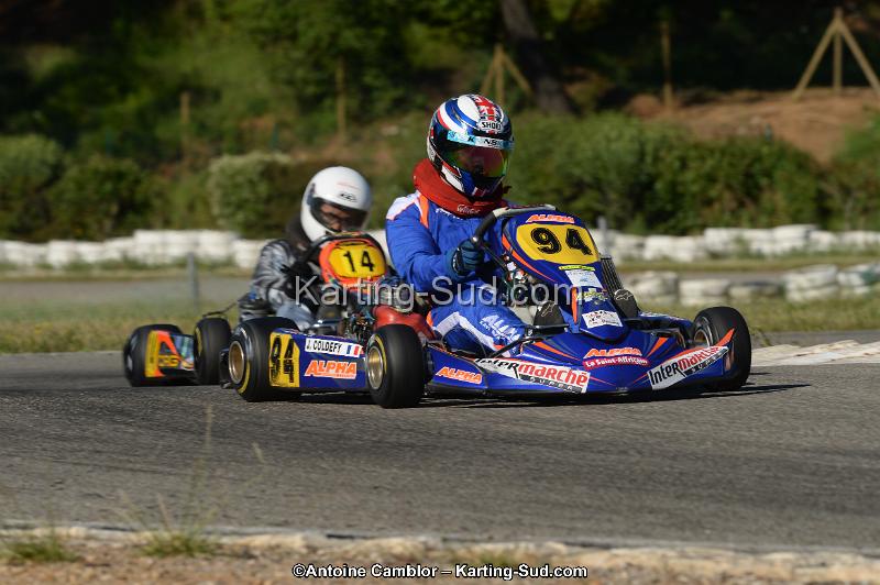 DSC_7033-2.jpg