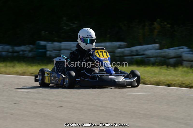 DSC_7216-2.jpg