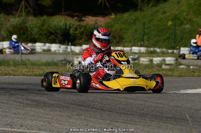 DSC_7242-2.jpg