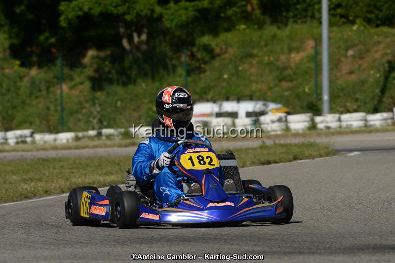 DSC_7303-2.jpg