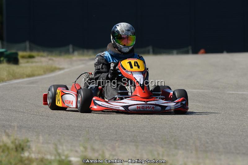 DSC_7545-2.jpg