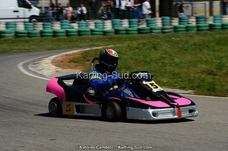 DSC_7931.jpg