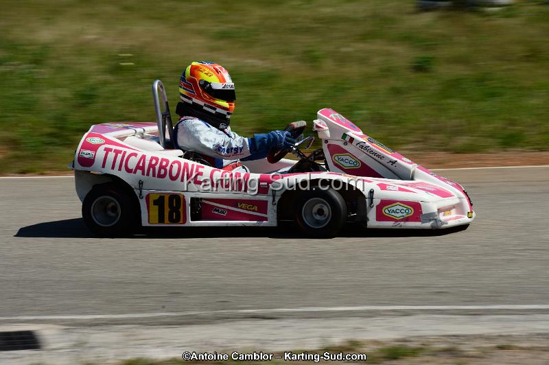 DSC_7951.jpg