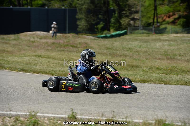 DSC_7997.jpg