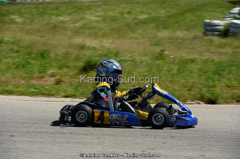 DSC_8005.jpg