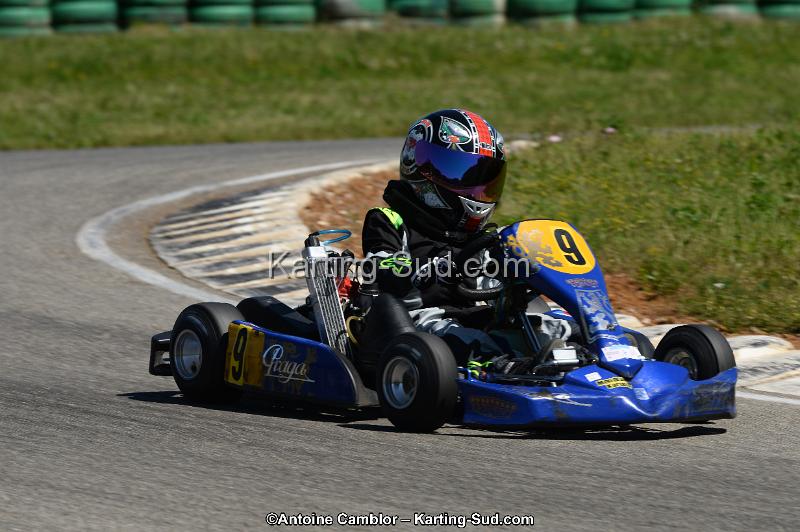 DSC_8032.jpg