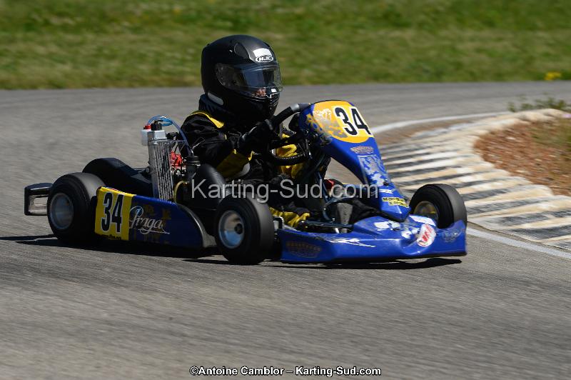 DSC_8071.jpg