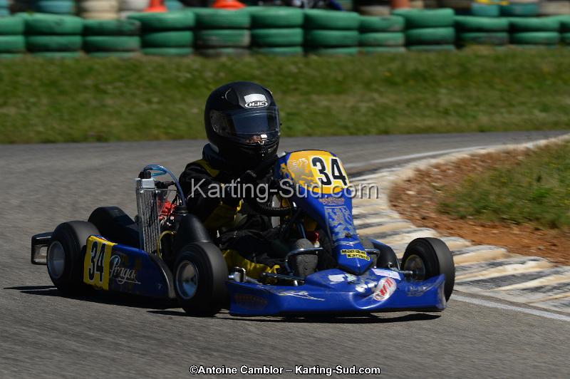 DSC_8080.jpg