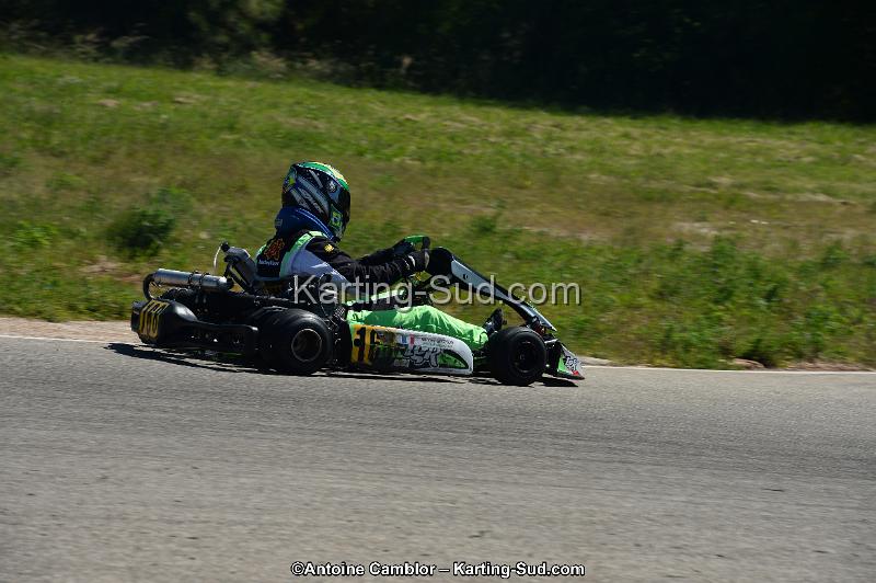 DSC_8087.jpg