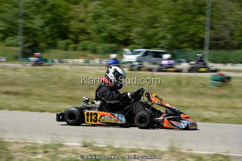 DSC_8113.jpg