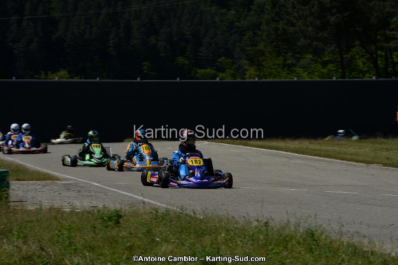 DSC_8119.jpg
