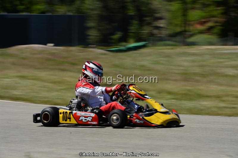 DSC_8126.jpg